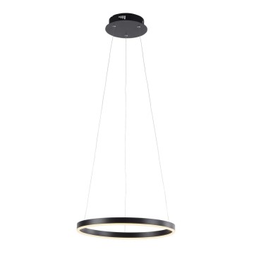 Leuchten Direkt 15393-13 - LED dæmpbar loftlampe på kabel RITUS LED/20W/230V sort