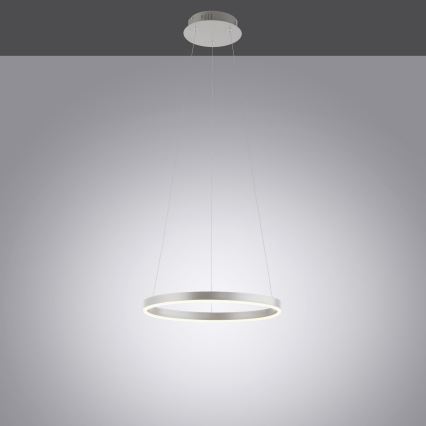 Leuchten Direkt 15393-95 - LED pendel dæmpbar RITUS LED/20W/230V mat krom