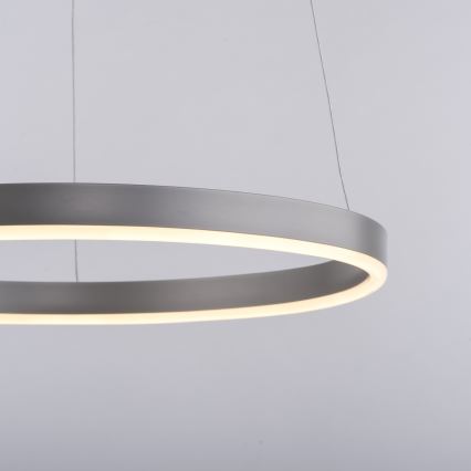 Leuchten Direkt 15393-95 - LED pendel dæmpbar RITUS LED/20W/230V mat krom