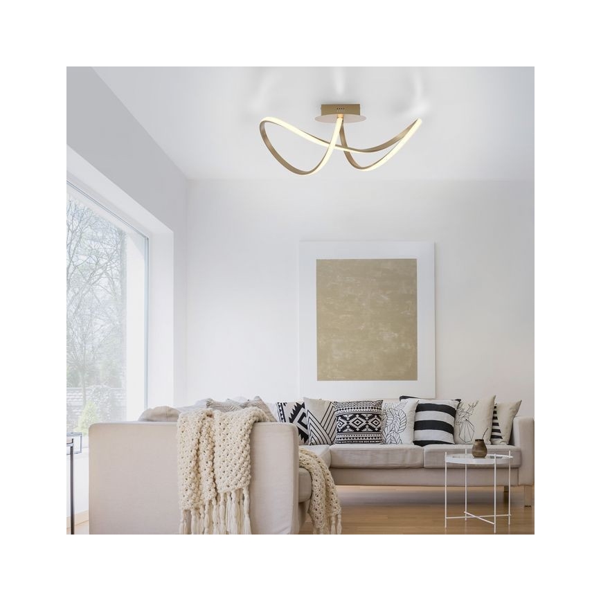 Leuchten Direkt 15403-60 - LED loftlampe dæmpbar MARIA LED/15,5W/230V