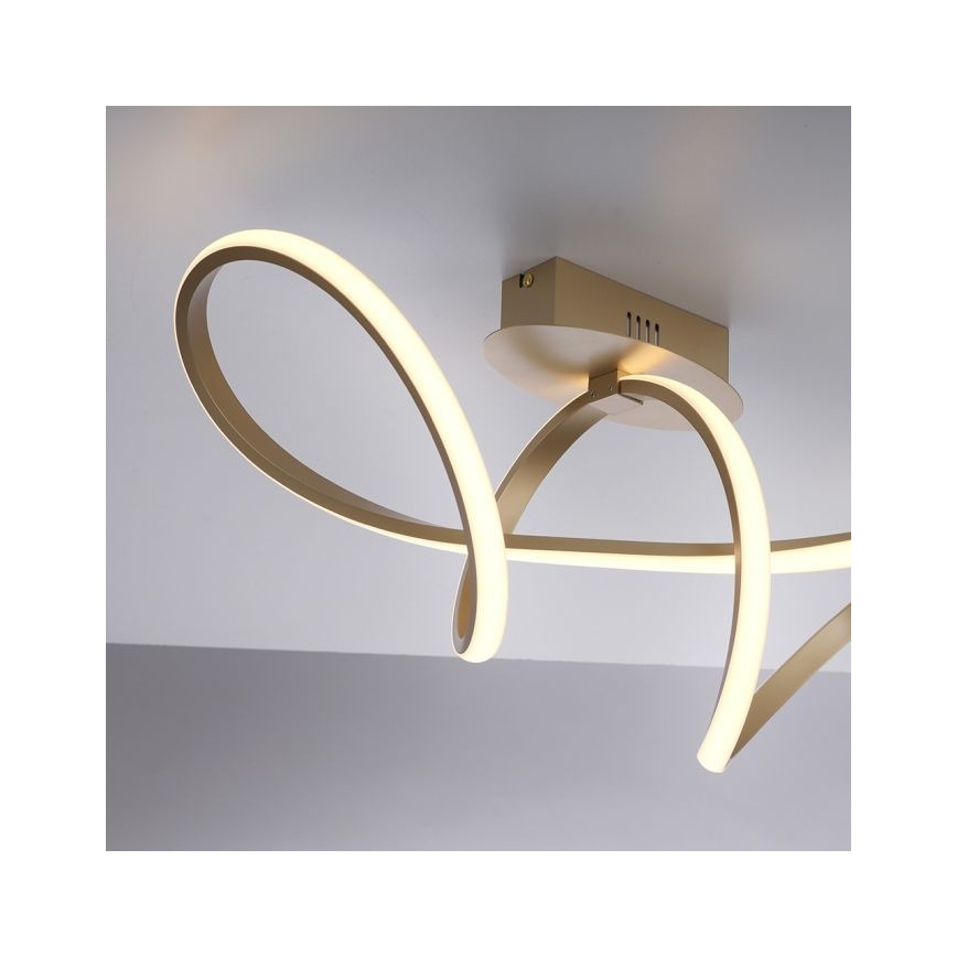 Leuchten Direkt 15403-60 - LED loftlampe dæmpbar MARIA LED/15,5W/230V