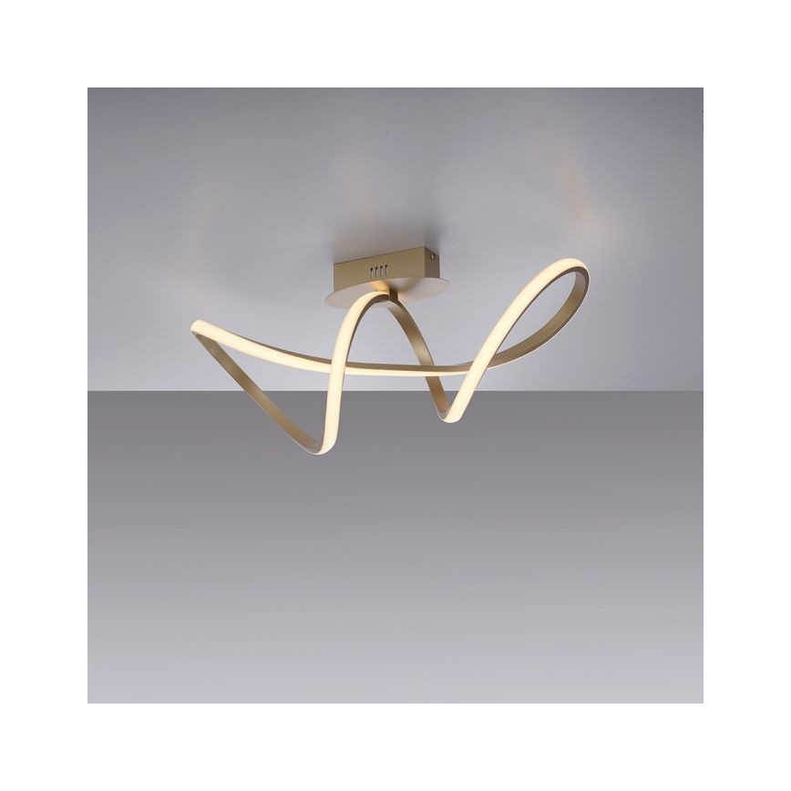 Leuchten Direkt 15403-60 - LED loftlampe dæmpbar MARIA LED/15,5W/230V
