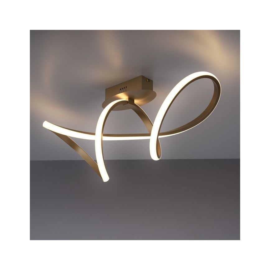 Leuchten Direkt 15403-60 - LED loftlampe dæmpbar MARIA LED/15,5W/230V