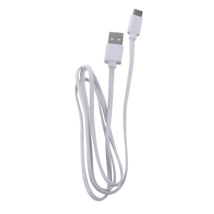 Leuchten Direkt 19250-16 - LED Udendørs bordlampe dæmpbar og genopladelig EURIA LED/3W/5V 2600 mAh IP54 hvid