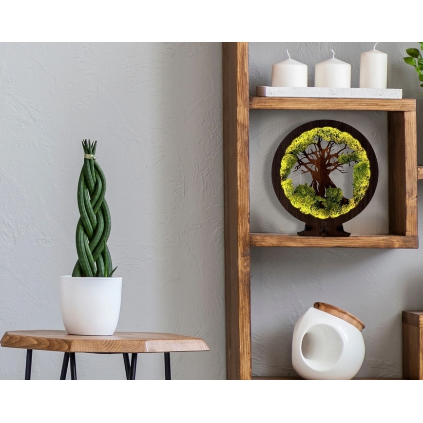 Li-Go 23604/DUB2 - dæmpbar LED-borddekoration LED/12W/230V 20x22 cm eg/mos og træ