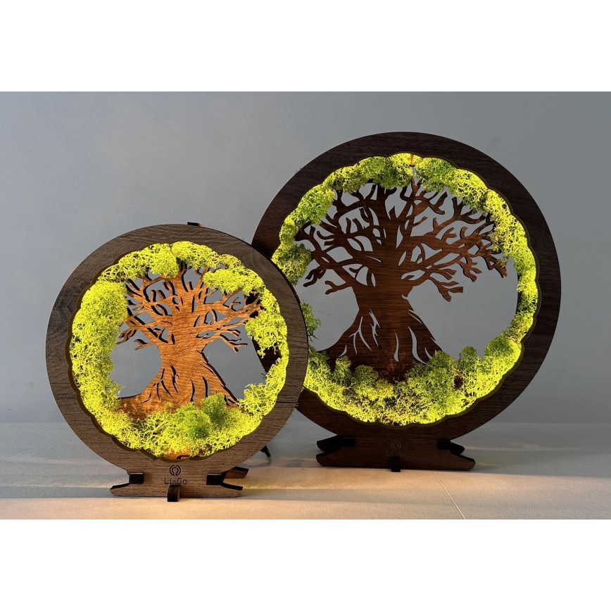 Li-Go 23604/DUB2 - dæmpbar LED-borddekoration LED/12W/230V 20x22 cm eg/mos og træ