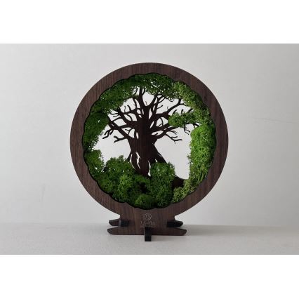 Li-Go 23604/DUB2 - dæmpbar LED-borddekoration LED/12W/230V 20x22 cm eg/mos og træ