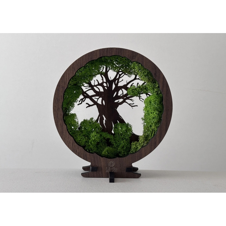 Li-Go 23604/DUB2 - dæmpbar LED-borddekoration LED/12W/230V 20x22 cm eg/mos og træ