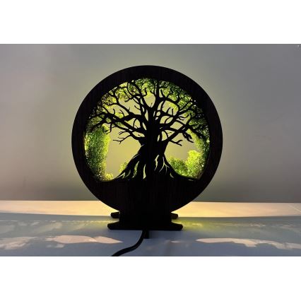 Li-Go 23604/DUB2 - dæmpbar LED-borddekoration LED/12W/230V 20x22 cm eg/mos og træ