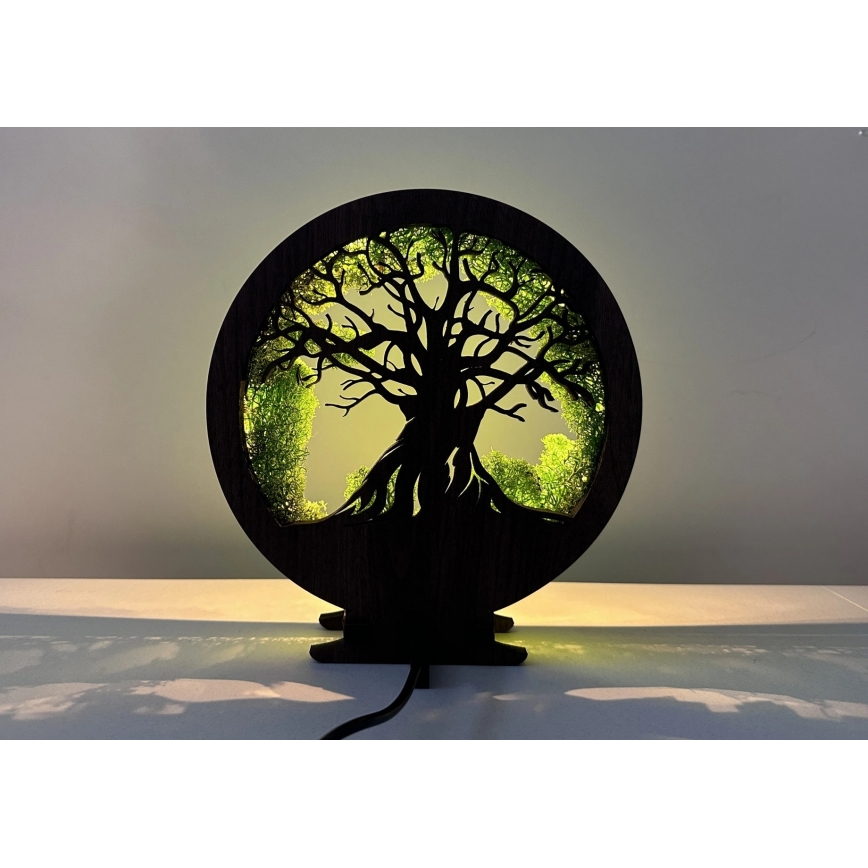 Li-Go 23604/DUB2 - dæmpbar LED-borddekoration LED/12W/230V 20x22 cm eg/mos og træ