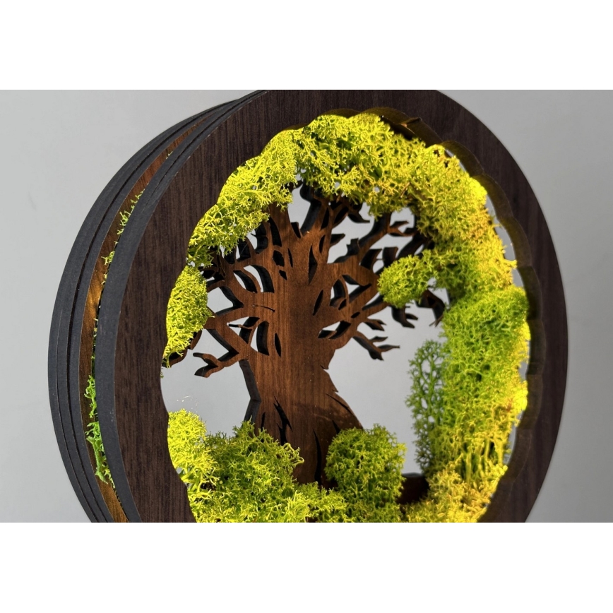 Li-Go 23604/DUB2 - dæmpbar LED-borddekoration LED/12W/230V 20x22 cm eg/mos og træ