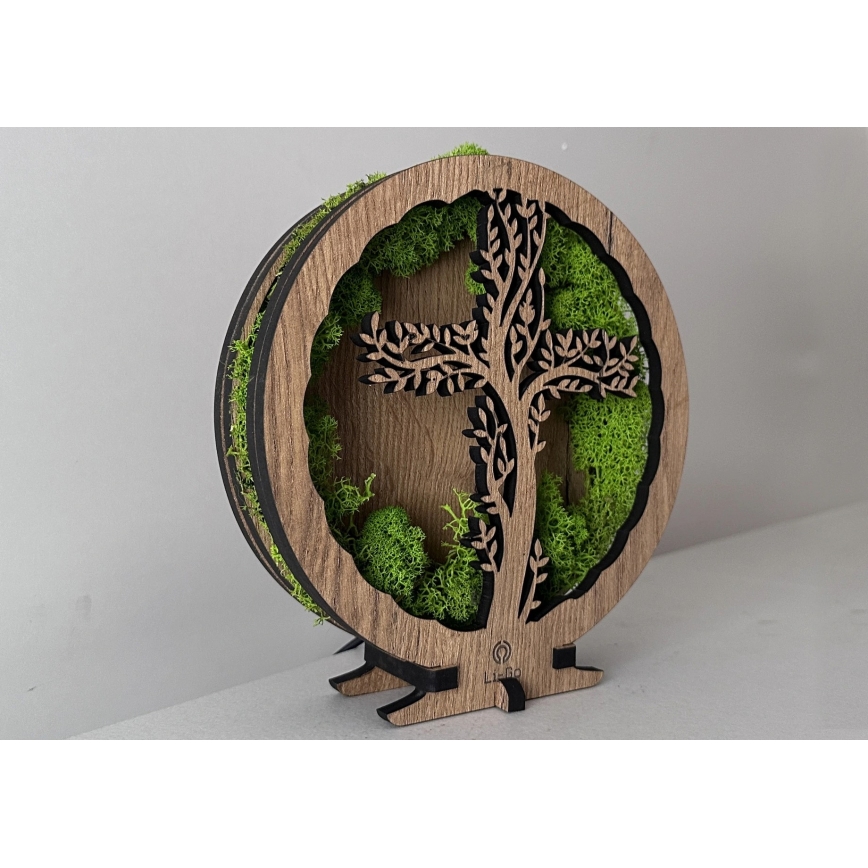 Li-Go 23622/DUB2 - Dæmpbar LED-borddekoration LED/12W/230V 20x22 cm eg/Kors i mos