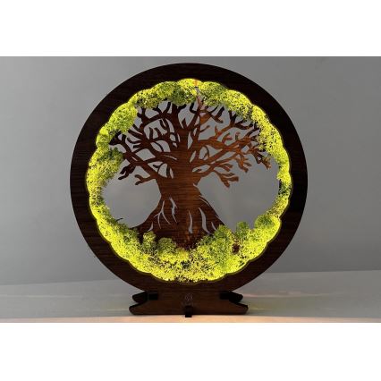 Li-Go 23631/DUB2 - LED dæmpbar borddekoration LED/12W/230V 30x31 cm eg/mos og træ