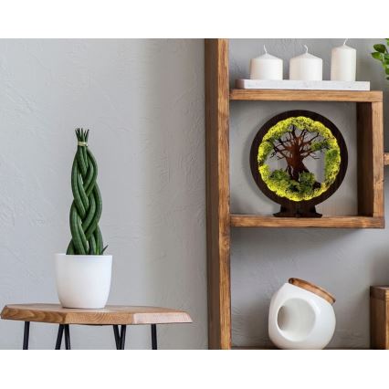 Li-Go 23631/DUB2 - Dæmpbar LED-borddekoration LED/12W/230V 30x31 cm eg/mos og træ