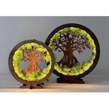 Li-Go 23631/DUB2 - Dæmpbar LED-borddekoration LED/12W/230V 30x31 cm eg/mos og træ