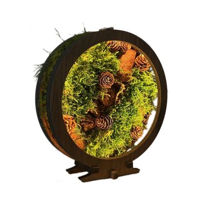 Li-Go 23654 - LED-dæmpbar borddekoration LED/12W/230V 20x22 cm valnød/mosdekoration