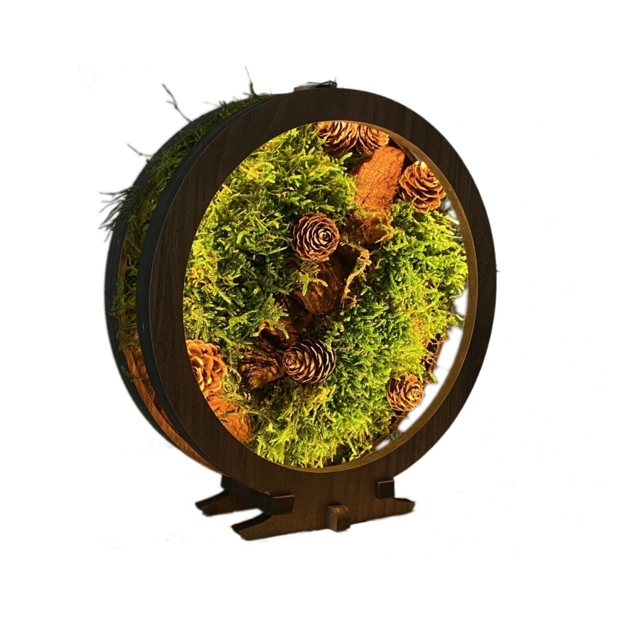 Li-Go 23654 - LED dæmpbar bordsdekoration LED/12W/230V 20x22 cm valnød/mosdekoration