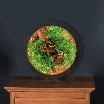 Li-Go 23654 - LED-dæmpbar borddekoration LED/12W/230V 20x22 cm valnød/mosdekoration