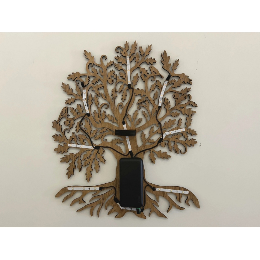 Li-Go 23673/DUB2 - LED dæmpbar vægdekoration LED/10W/5V 20000 mAh 45x55 cm eg + fjernbetjening