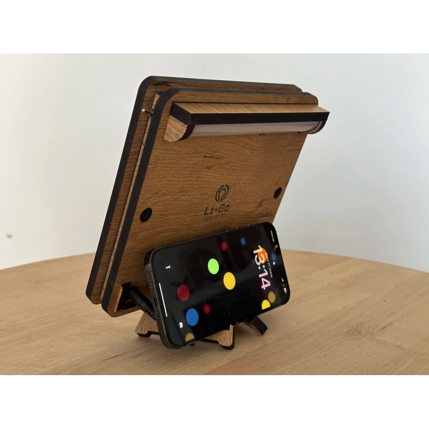 Li-Go 4070/DUB2 - LED borddekoration LED/12W/230V 19x19 cm eg/hest