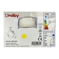 Lindby - LED væglampe GISELA LED/5W/230V
