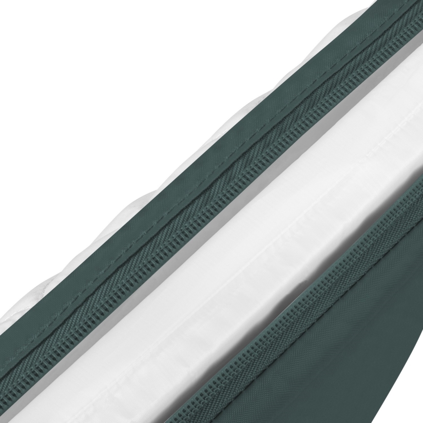 Lionelo - 3-i-1 babyseng JODIE Grøn Grafit