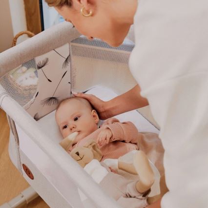 Lionelo - AURORA 3-i-1 babyseng, grå