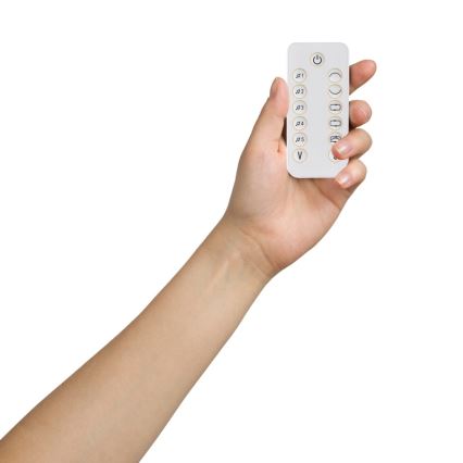 Lionelo - Babygynge med melodi OLIVIA Beige Natur + fjernbetjening