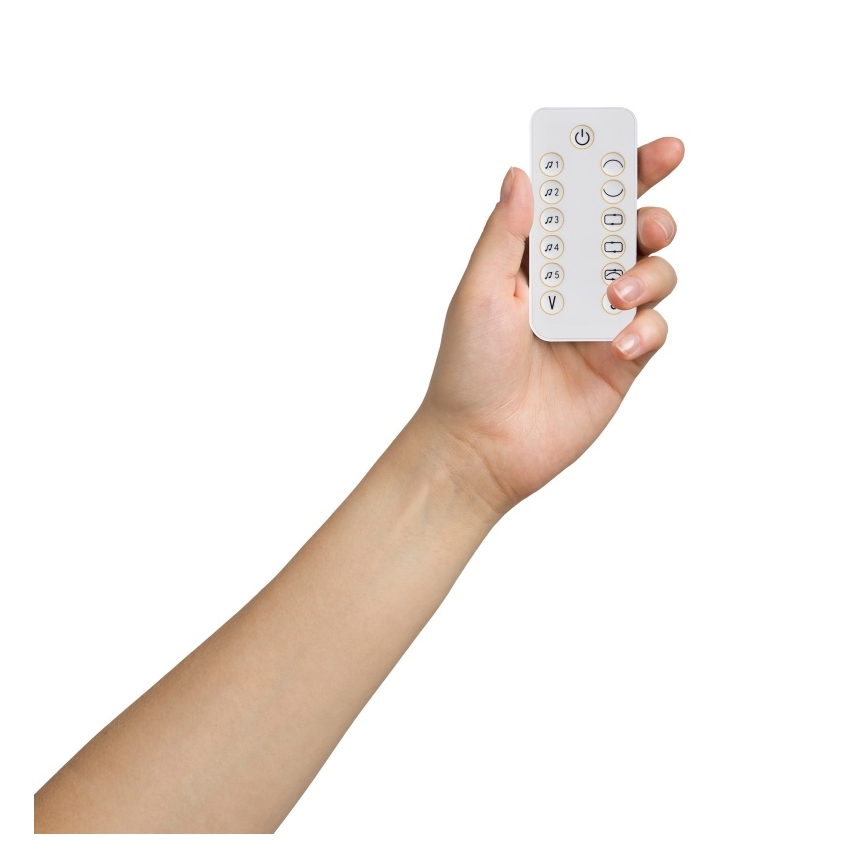 Lionelo - Babygynge med melodi OLIVIA Beige Natural + fjernbetjening
