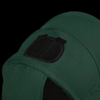 Lionelo - Børnetricycle HAARI grøn/sort