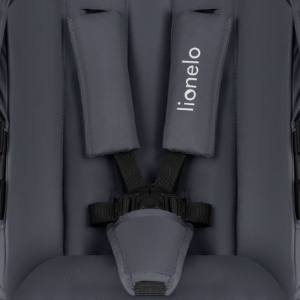 Lionelo - Kombineret klapvogn 2-i-1 AMBER PLUS Grå Grafit
