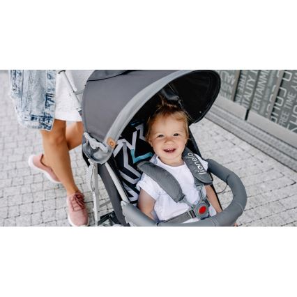 Lionelo - Paraplyklapvogn ELIA grå