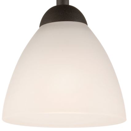 Loftlampe ADRIANO 1xE27/60W/230V bøg