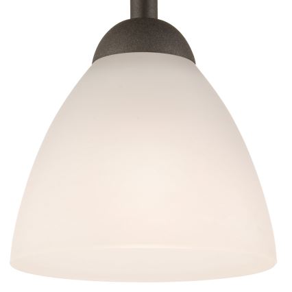 Loftlampe ADRIANO 1xE27/60W/230V bøg