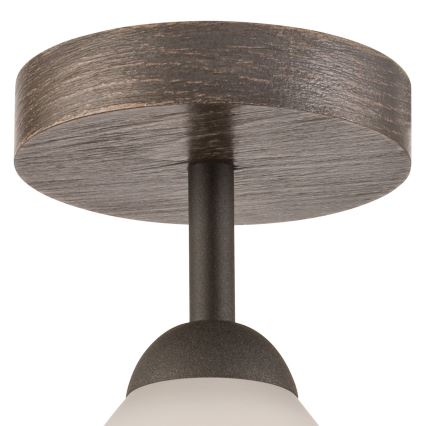 Loftlampe ADRIANO 1xE27/60W/230V bøg