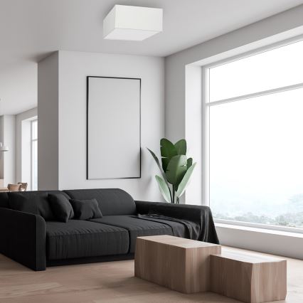 Loftlampe ALBION 2xE27/60W/230V