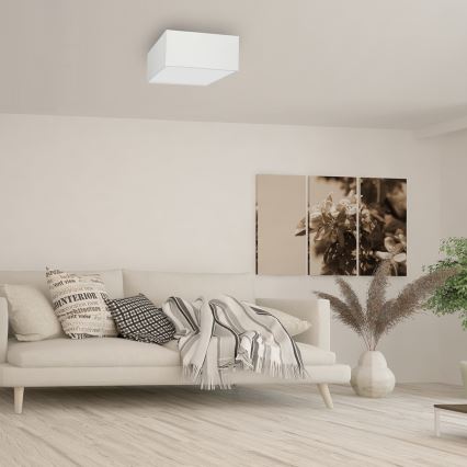 Loftlampe ALBION 2xE27/60W/230V