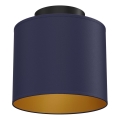 Loftlampe ARDEN 1xE27/15W/230V Ø 18 cm blå