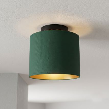 Loftlampe ARDEN 1xE27/15W/230V Ø 18 cm grøn