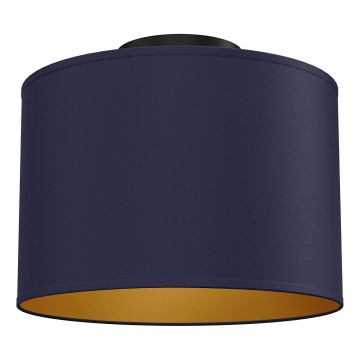 Loftlampe ARDEN 1xE27/15W/230V Ø 25 cm blå