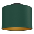 Loftlampe ARDEN 1xE27/15W/230V Ø 25 cm grøn