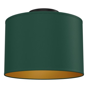 Loftlampe ARDEN 1xE27/15W/230V Ø 25 cm grøn