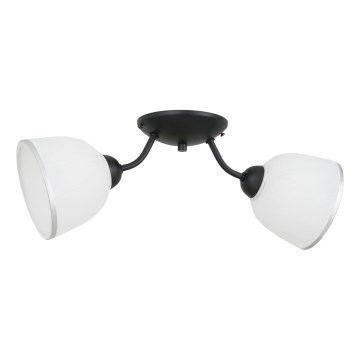 Loftlampe AVIA 2xE27/60W/230V
