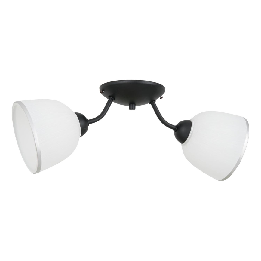 Loftlampe AVIA 2xE27/60W/230V
