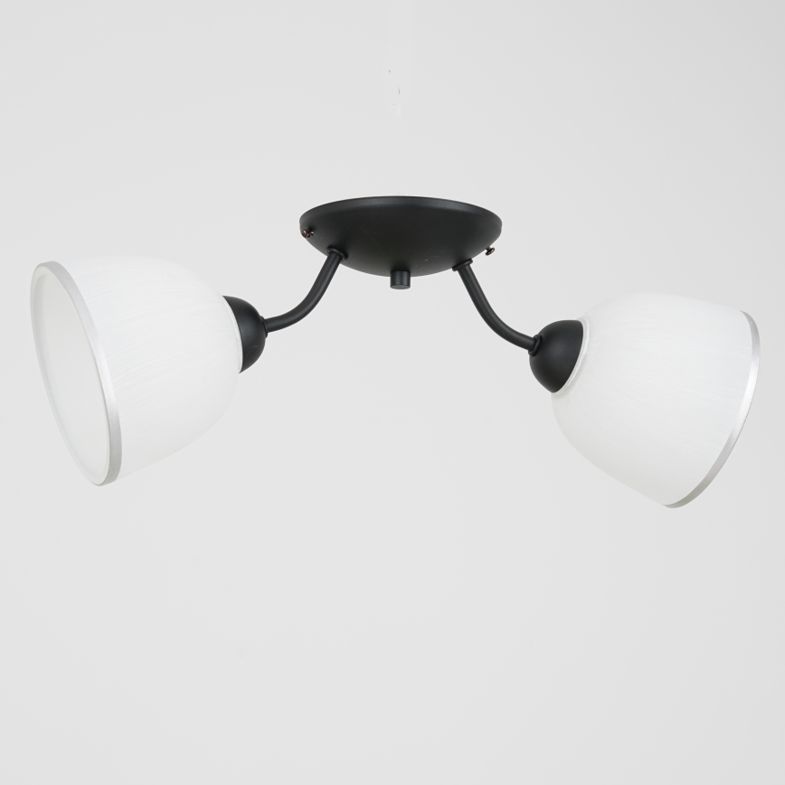 Loftlampe AVIA 2xE27/60W/230V