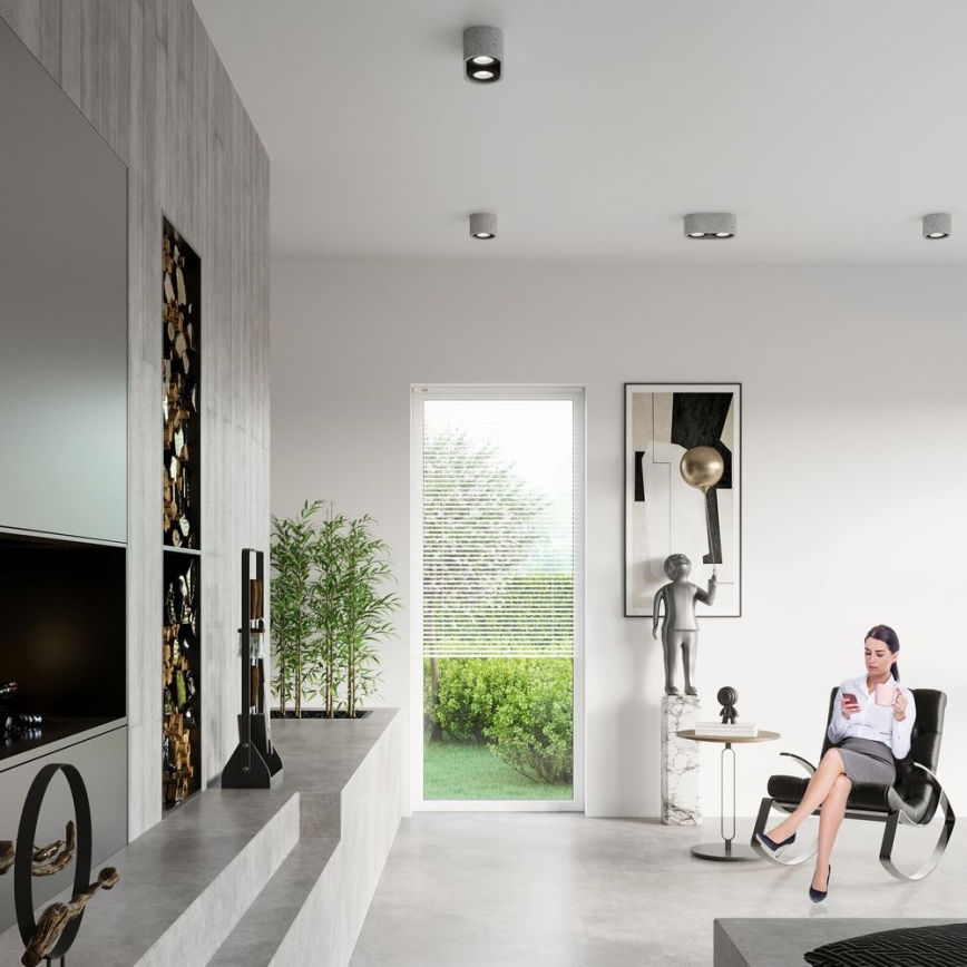 Loftlampe BASIC AR111 2xGU10/40W/230V betongrå