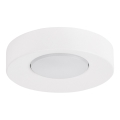Loftlampe BROS 1xGX53/12W/230V hvid