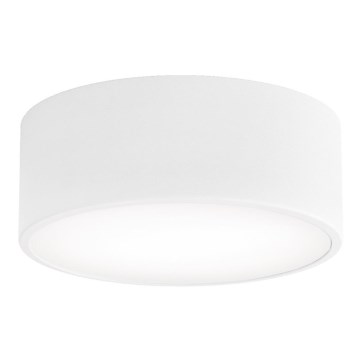 Loftlampe CLEO med bevægelses- og skumringssensor, 1xE27/40W/230V, Ø 20 cm, hvid
