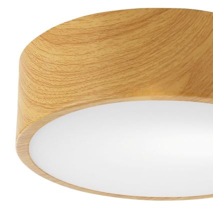 Loftlampe DANTE 1xE27/60W/230V diam. 26 cm