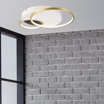 Loftlampe dæmpbar BENITO LED/31W/230V 3000-6500K hvid/guldfarvet